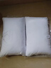 富安娜京爆 枕头芯颈椎枕芯决明子成人枕头两只深度睡眠枕一对装74*48cm 实拍图