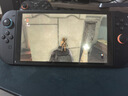 任天堂（Nintendo） Switch游戏卡带全新原装实体卡Switch2游戏软件海外通用版本 Switch2 塞尔达传说王国之泪 实拍图