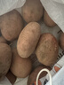 【真便宜】红皮土豆高原黄心土豆马铃薯红皮黄心洋芋 蔬菜水果 红皮土豆 9斤 净重 单果1-3两 实拍图