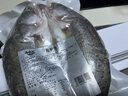 海鼎纪三去海鲈鱼2条装共800g开背鲈鱼生鲜鱼类春节也送货夜宵年货节 实拍图