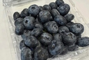怡颗莓Driscoll's 云南蓝莓Jumbo大果18mm+ 6盒125g/盒新鲜水果礼盒 实拍图