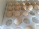 京鲜生【每日鲜蛋】无抗谷物鸡蛋30枚 3.18斤 当日产蛋 当日发货 实拍图