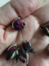 崇芝林国药药材金边玫瑰云南玫瑰花干花蕾花草茶花茶叶130g 实拍图