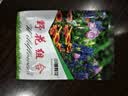 小镇有花野花组合种子 新种子阳台好养活室外室内盆栽野花花海花籽10G 实拍图