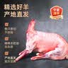 寻滩鲜宁夏滩羊肉全羊黑山羊32斤整只羊烤全羊清真中秋礼盒源头直发 实拍图