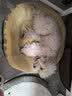 HELLOJOY狗狗零食 肉干肉条成犬幼犬通用训狗奖励零食 鸡肉绕胡萝卜120g 实拍图