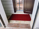 墨斗鱼入户地垫脚垫进户门160*300cm防滑门垫2026年新款门口脚踏地毯 实拍图