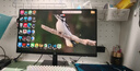 泰坦军团 24.5英寸 260Hz高刷 HDR400广色域 逐台校色FastIPS窄边框 PS5电竞显示器P2510H PLUS 原生240Hz  实拍图