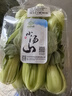 小汤山 油菜 250g 基地直供新鲜蔬菜GAP认证 实拍图