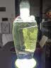 Edo酒水封口膜 酒瓶密封膜老酒缠绕膜封口专用膜果树嫁接膜5cm*2卷 实拍图