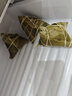 五芳斋 速冻香糯蜜枣粽 140g*6只 嘉兴粽子甜粽端午粽子早餐食品 实拍图