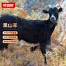 寻滩鲜宁夏滩羊肉全羊黑山羊32斤整只羊烤全羊清真中秋礼盒源头直发 实拍图