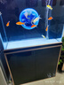 森森（SUNSUN）大型鱼缸底过滤水族箱客厅家用落地玻璃生态金鱼缸 【实时温显+灯控】经典黑 0.8米长35cm宽 实拍图