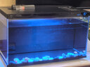 米家小米智能鱼缸 一体整机免装语音遥控半年免换水APP定时喂食水族箱 米家智能鱼缸 实拍图