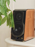 漫步者（EDIFIER）【数码多年度推荐】S1000MKII 旗舰HIFI级2.0音箱 蓝牙音箱 高保真音响 电脑音响 电视音响 实拍图