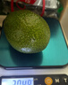 京鲜生智利进口即食牛油果 巨无霸6粒装 单果200g起 源头直发一件包邮 实拍图
