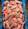 禧美海产熟冻北极甜虾净重3斤装/盒 150/180小号规格 MSC认证 轻食海鲜 实拍图
