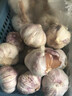 紫白皮蒜水果大蒜超市即食生鲜蔬菜大蒜 [活动]8头 200g 单果3.5-5cm 实拍图