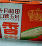 十月稻田 白甜糯玉米 8根 4.16斤 东北鲜黏玉米棒 低脂早餐苞米 新年礼盒  实拍图