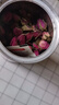 艺福堂花草茶 精品平阴原产胎玫瑰花茶120g 养生茶送母亲不熏硫搭菊花茶 实拍图