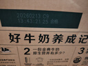 伊利【新鲜日期】金典纯牛奶早餐奶整箱250ml*16盒 3.6g乳蛋白 礼盒装 实拍图