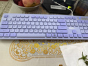联想（lenovo）有线键鼠套装TL21 巧克力按键 有线键盘鼠标 USB 商务电脑办公键盘 笔记本台式机一体机键盘 紫色 实拍图