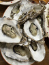 鲜京采 鲜活生蚝4XL 净重5斤 10-13只 鲜活到家 源头直发 年货送礼 实拍图