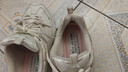 斯凯奇（Skechers）珠珠熊女鞋春季厚底增高老爹鞋软底百搭休闲鞋运动鞋 实拍图