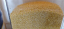 十月稻田 黄小米 2斤 五谷杂粮 低脂粗粮 早餐煮粥 正宗小米饭 米香浓郁 实拍图