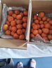 京鲜生 砂糖橘/砂糖桔 净重2斤 生鲜水果   实拍图