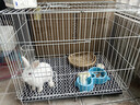 憨憨宠兔子笼 兔笼加粗加密家用兔子专用笼子可折叠兔笼子特大号养殖笼 600# 白色可折叠加密兔子笼 实拍图