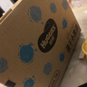 好奇（Huggies）金装拉拉裤XL96片(12-17kg)尿不湿【速干不易红】 实拍图