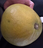 京鲜生泰国金柚 黄心蜜柚 1粒礼袋装 单果1kg【泰国皇室同款】源头直发 实拍图