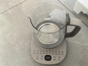 荣事达（Royalstar）养生壶 烧水壶电热水壶开水壶恒温壶家用办公室花茶壶热奶器1.7L预约保温带滤网 YSH1759Y（304L） 实拍图