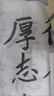 周虎臣毛笔兼毫毛笔 金龙 初学者练习毛笔书法学生颜体楷书行书文房四宝字帖临摹成人学生入门中号 实拍图