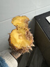 广东徐闻香水菠萝新鲜水果生鲜热带孕妇水果整箱包邮 1个装 单果1.3-1.5斤 实拍图