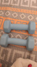 Ma fitness哑铃男士健身家用器材六角小哑铃5kg男生宿舍防锈纯铁4kg一对公斤 2KG*2只天空蓝-初级力量训练 蓝色 实拍图