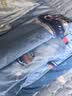 水星儿童被套纯棉100%全棉a类被罩被单抑菌单件床上用品双人床220x240cm 实拍图
