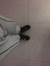 SHANSHAN杉杉【可拆帽】鹅绒羽绒服男冬季加厚休闲爸爸装保暖内胆外套 实拍图