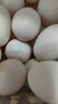 均鲜新鲜土鸽子蛋杂粮喂养农家特产白鸽蛋信鸽蛋孕妇宝宝年货节礼盒装 30枚750g左右精选大个种鸽蛋 实拍图