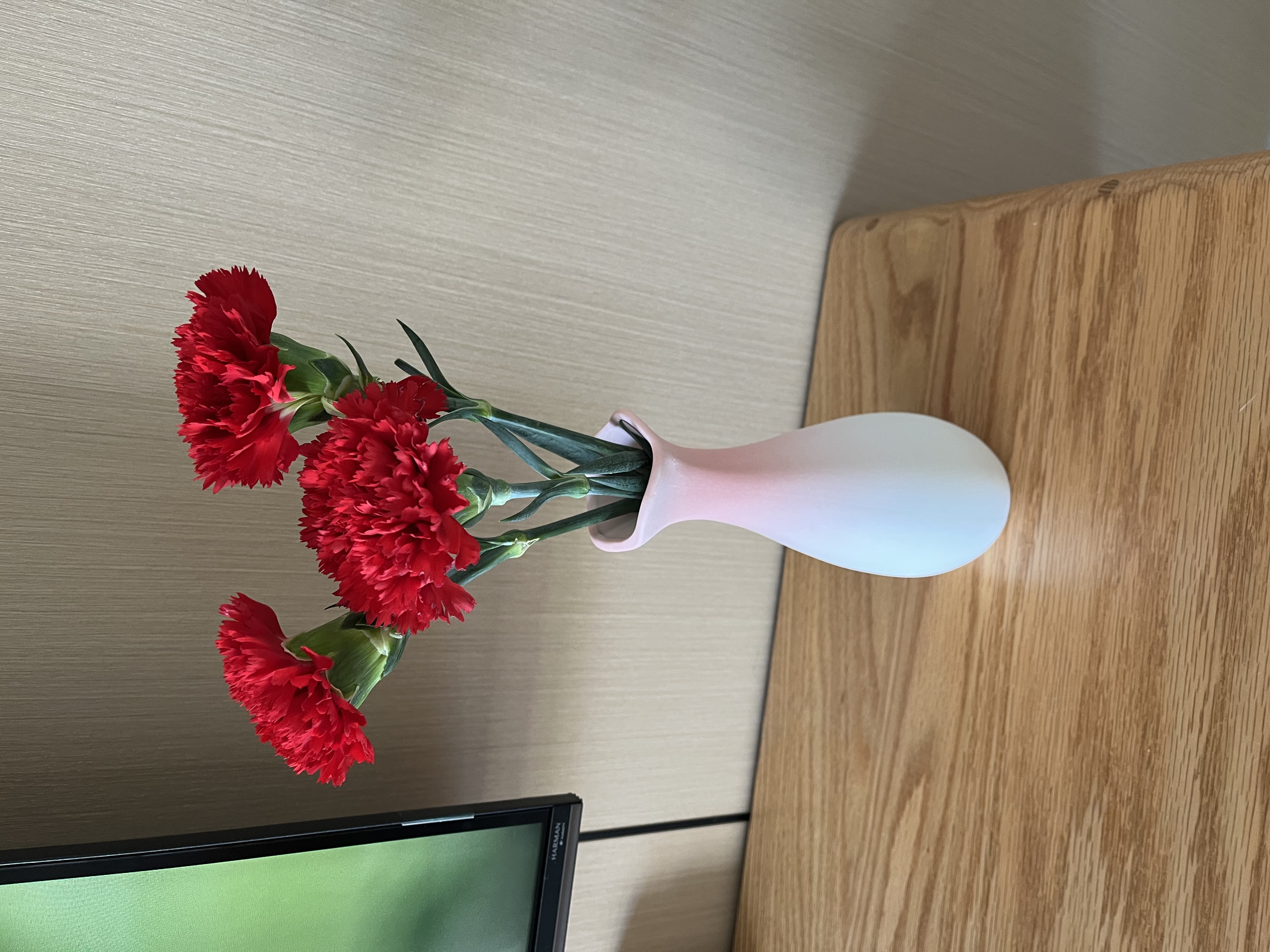 粉色家居陶瓷花瓶干花鲜花花器ins风软装搭配拍摄道具玄关摆件 多言中（粉上） 实拍图