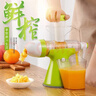 京严手动榨汁机手压式压汁机家用原汁机小型渣汁分离鲜榨水果压汁神器 双口设计【榨汁+冰淇淋】果绿色 实拍图