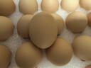 京鲜生柴鸡蛋30枚 3斤 无抗生素 谷物喂养鲜鸡蛋 源头直发 实拍图