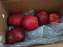 京鲜生 甘肃天水花牛苹果 又大又红 6粒尝鲜装 单果160-190g 生鲜水果 实拍图