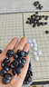 Toylezhi围棋五子棋磁性便携折叠露营棋盘儿童教学益智玩具六一儿童节礼物 实拍图
