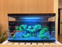 米家智能生态鱼缸还原自然生态 智能鱼缸+滤芯套装 实拍图