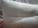 水星家纺枕头枕芯酒店枕头护颈枕头芯家用单个抑菌防螨可水洗高枕48x74cm 实拍图