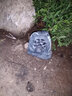 菱声（LINGSHENG） 户外草坪音箱室外防水喇叭公园仿真石头音响园林景观音箱花园草地假山喇叭 LD-615A 实拍图