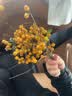 蓝蝶教学仿真人体关节骨骼模型 韧带手肘肩髋脚膝关节模型附韧带人体骨骼教学练习功能展示 六件套关节 六件套关节 实拍图