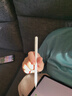Apple/苹果 Pencil Pro 磁吸触控笔手写笔苹果笔电容笔书写绘画ipad笔 适用于iPad Pro/Air/mini机型 实拍图